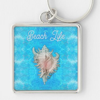 Conch Shell 