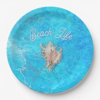 Conch Shell 