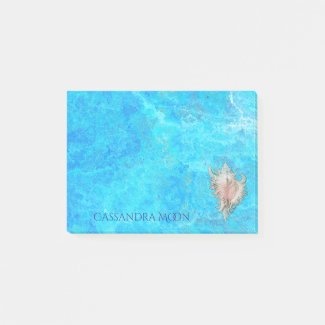 Conch Shell 