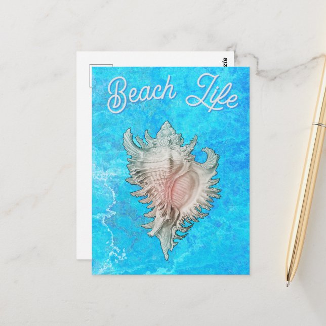 Conch Shell "Beach Life" Postcard (Front/Back In Situ)