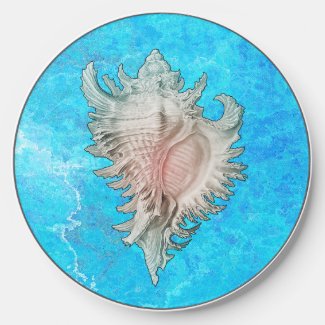 Conch Shell 