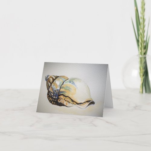 Conch Shell _ Blank Greeting Card