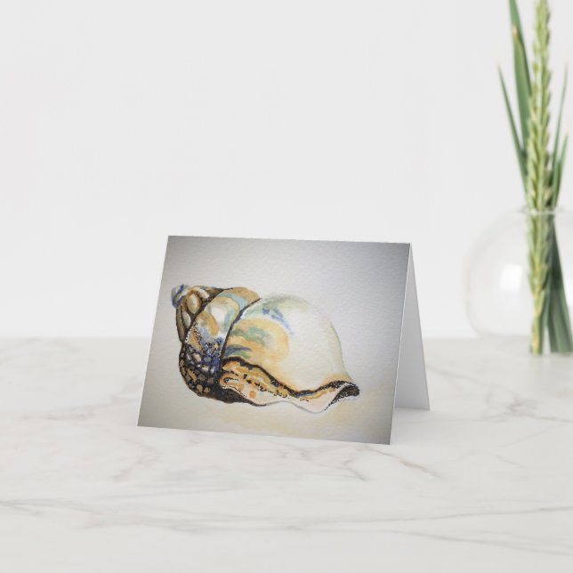 Conch Shell - Blank Greeting Card (Front)