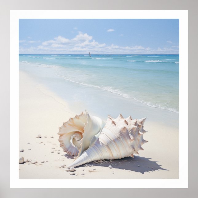 Conch shell by the beach poster (Front)