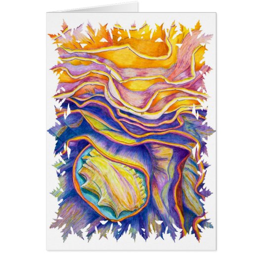Conch Shell Cards (Front)