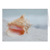 Conch Shell Cards (Front Horizontal)