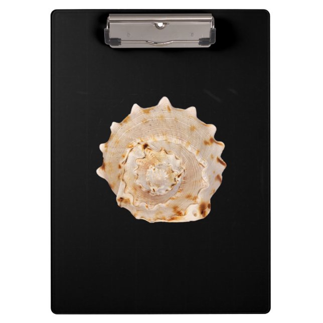 Conch Shell Clipboard (Front)