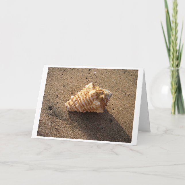 Conch Shell (Color) Card (Front)