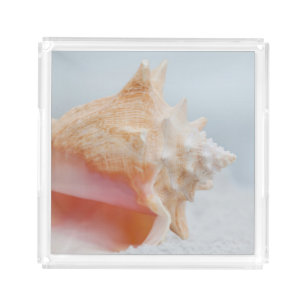 Conch Shell Florida Acrylic Tray