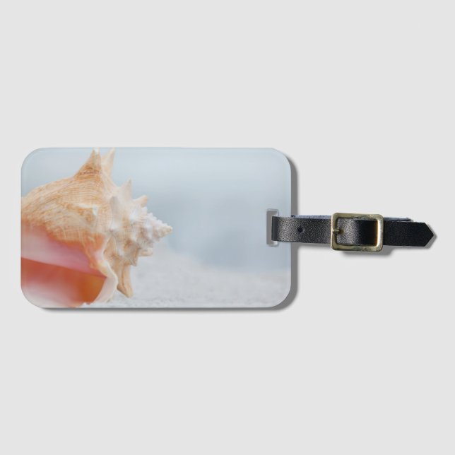 Conch Shell | Florida Luggage Tag (Front Horizontal)