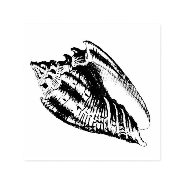 Conch Shell Illustration Self-inking Stamp (Design)