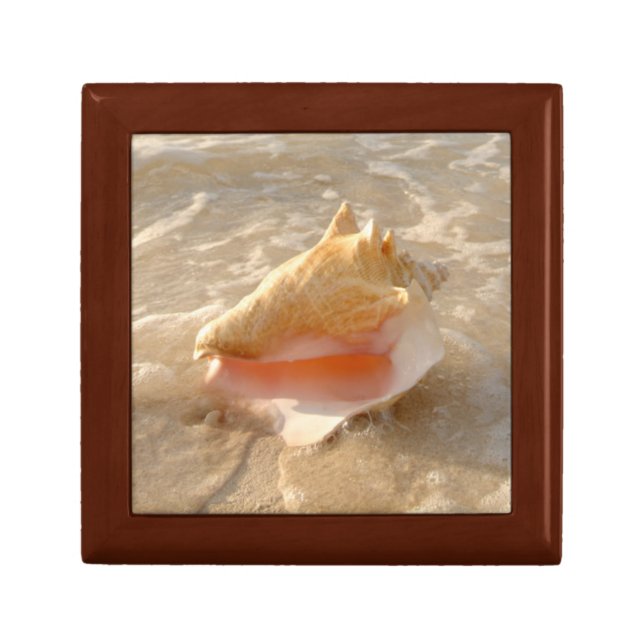 Conch Shell In Sand On Tropical Beach Jewelry Box (Front)