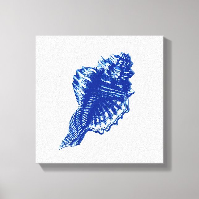 Conch Shell, Indigo Blue and White Canvas Print (Front)