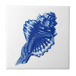 Conch Shell, Indigo Blue and White Ceramic Tile