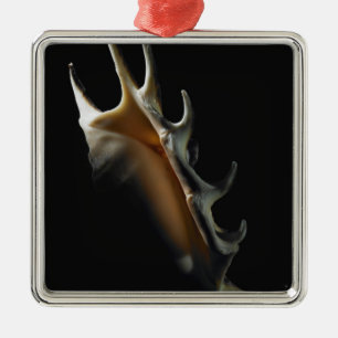 Conch shell metal ornament