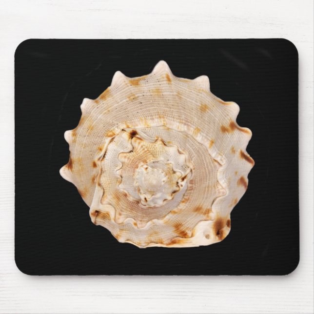 Conch Shell Mouse Mat (Front)