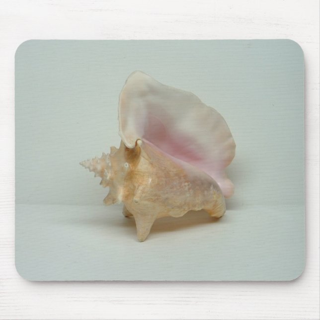 CONCH SHELL mousepad (Front)