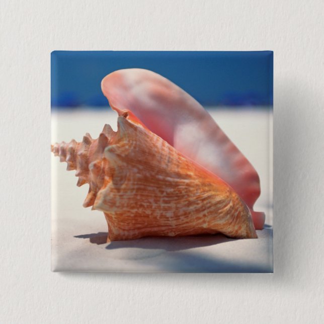 Conch Shell On Beach 2 Button (Front)