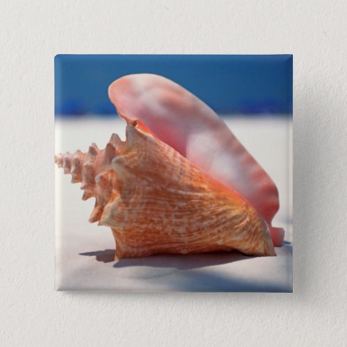 Conch Shell On Beach 2 Button