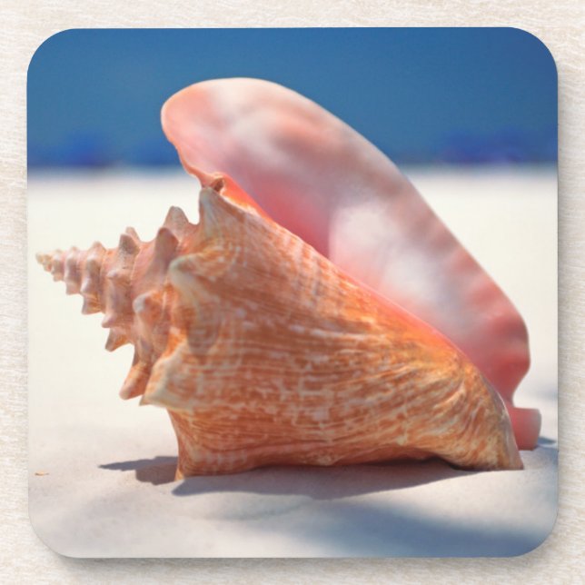 Conch Shell On Beach 2 Drink Coaster (Front)