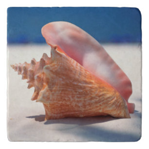 Conch Shell On Beach 2 Trivet