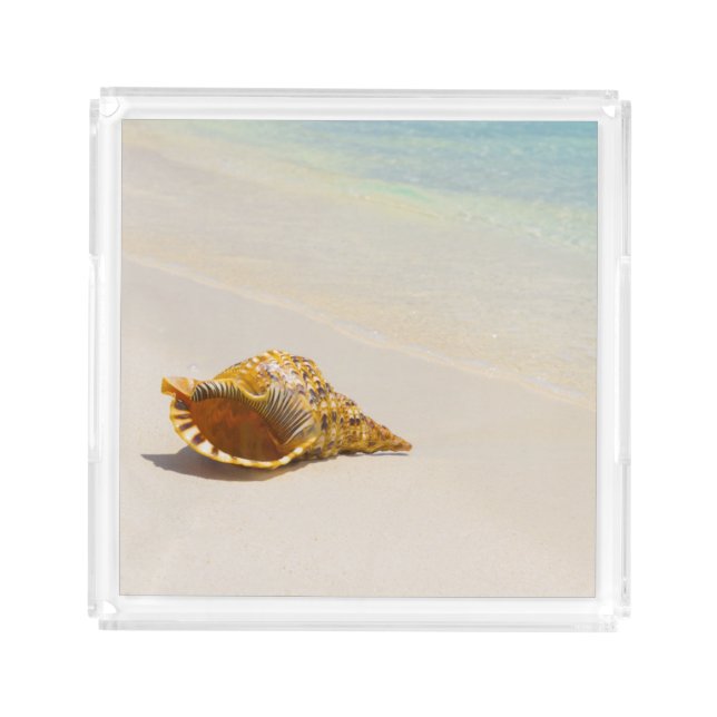 Conch Shell On Beach 3 Acrylic Tray (Front)