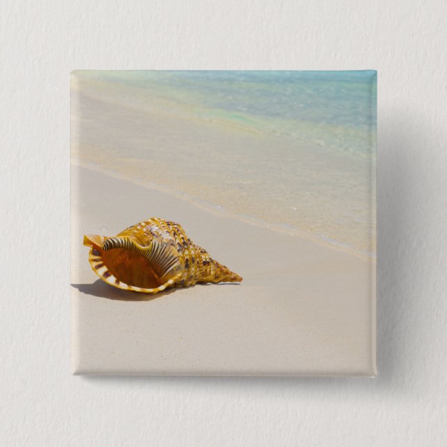 Conch Shell On Beach 3 Button (Front)