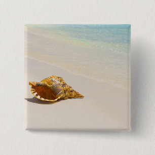 Conch Shell On Beach 3 Button