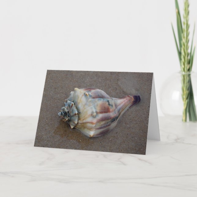 Conch Shell on Beach Thank You Card (Front)