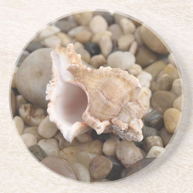 Conch Shell on Pebbles Drink Coaster (Front)