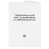 conch shell on shore (Back)