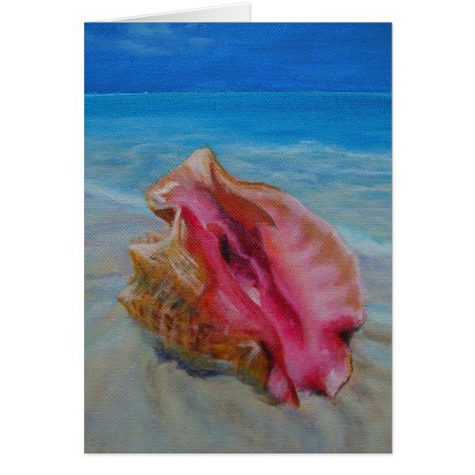 conch shell on shore cards (Front)