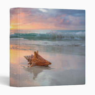 Conch Shell on the Beach Jamaica 3 Ring Binder
