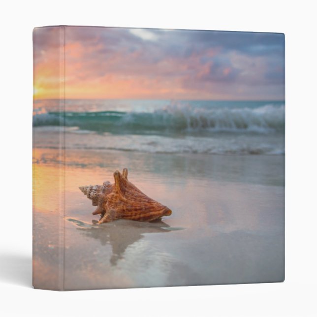 Conch Shell on the Beach | Jamaica 3 Ring Binder (Front/Spine)