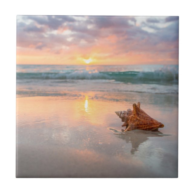 Conch Shell on the Beach | Jamaica Ceramic Tile (Front)