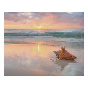 Conch Shell on the Beach   Jamaica Faux Canvas Print