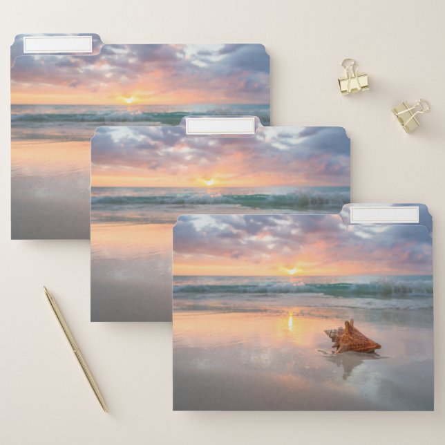 Conch Shell on the Beach | Jamaica File Folder (Set)