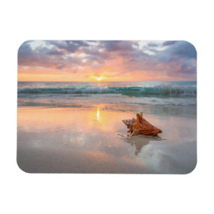 Conch Shell on the Beach   Jamaica Magnet