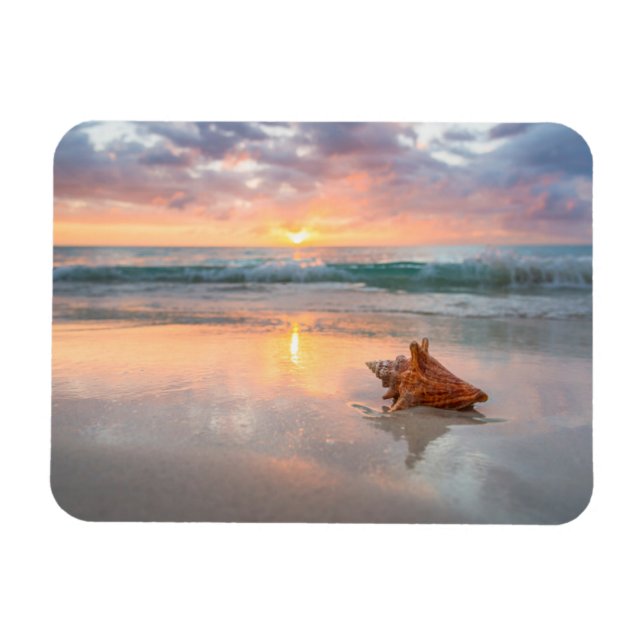 Conch Shell on the Beach | Jamaica Magnet (Horizontal)