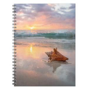 Conch Shell on the Beach Jamaica Notebook