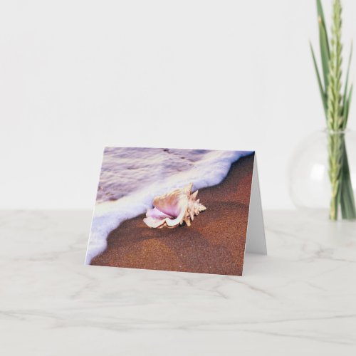 Conch Shell on the Beach Note Card