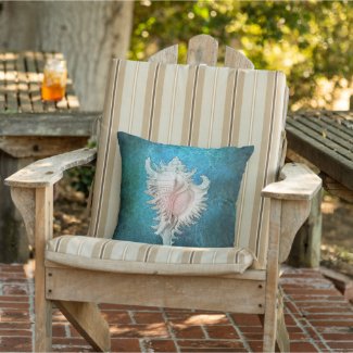 Conch Shell