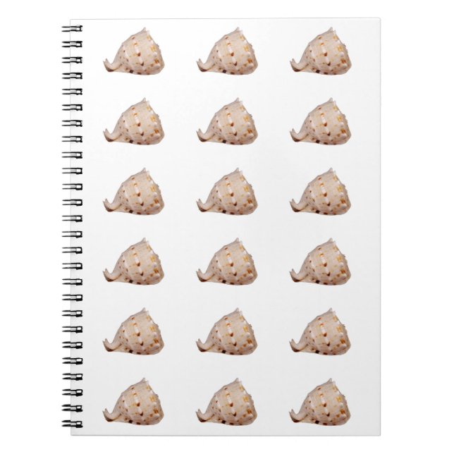 Conch Shell Photo Notebook (Front)