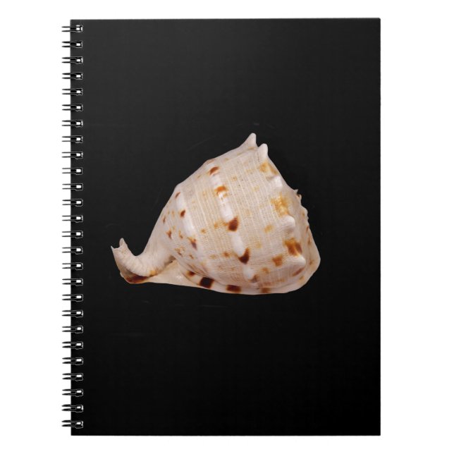 Conch Shell Photo Notebook (Front)