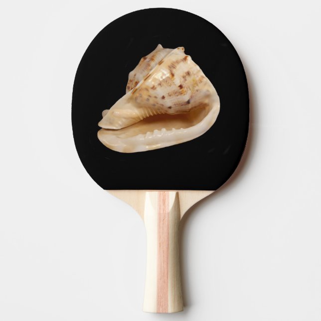 Conch Shell Ping Pong Paddle (Front)
