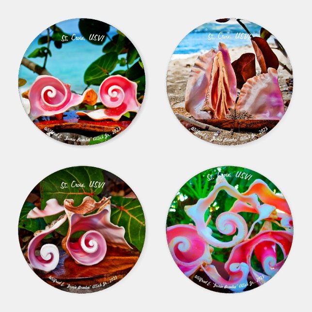 Conch Shell Sculpture Coasters (Set)