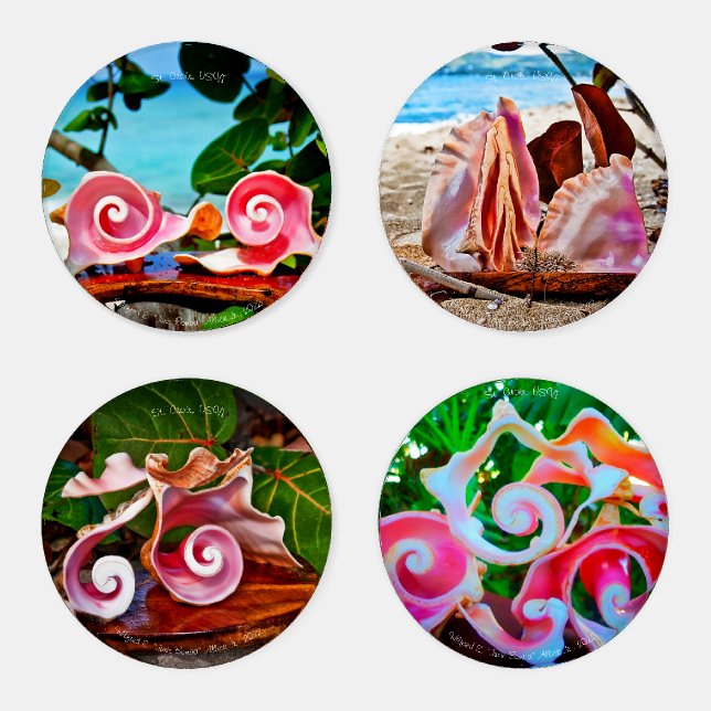 Conch Shell Sculpture Coasters (Set)