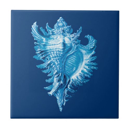 Conch Shell Sea Life Print Indigo Blue and White Ceramic Tile