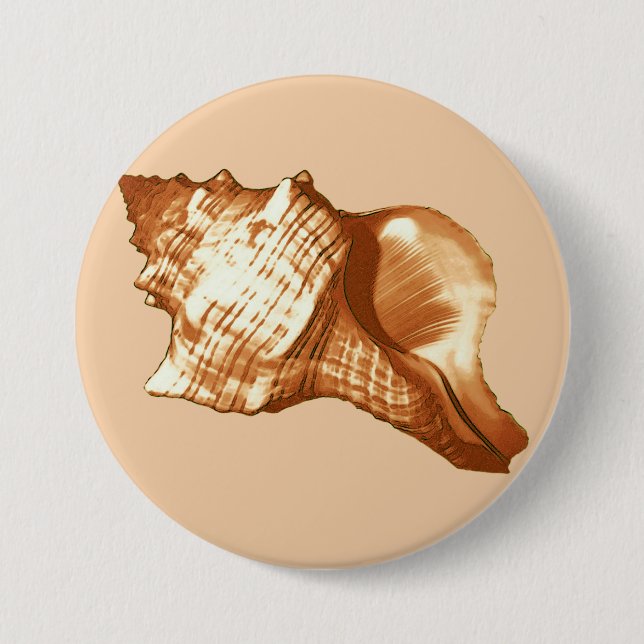 Conch shell sketch - brown, white and tan button (Front)
