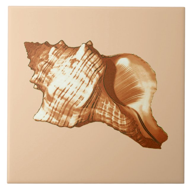 Conch shell sketch - brown, white and tan ceramic tile (Front)